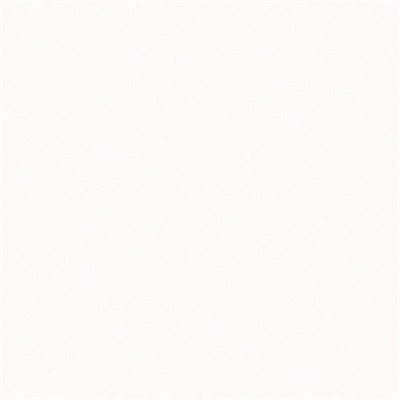 S006 Arctic White